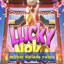 milhar viciada cobra