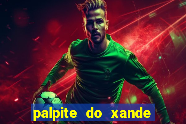 palpite do xande para hoje