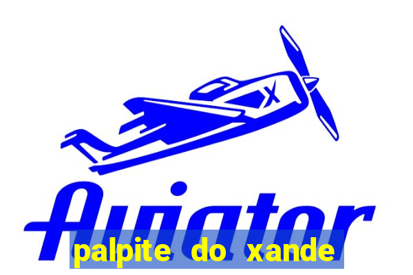 palpite do xande para hoje