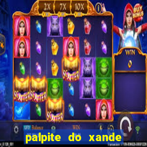 palpite do xande para hoje