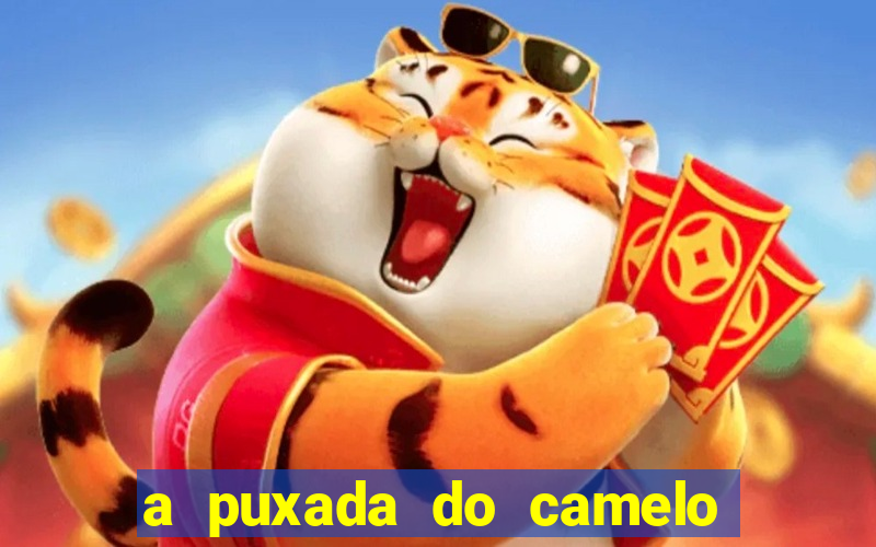 a puxada do camelo no jogo do bicho