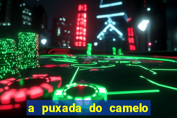 a puxada do camelo no jogo do bicho