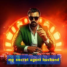 my secret agent husband