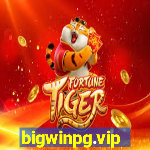 bigwinpg.vip