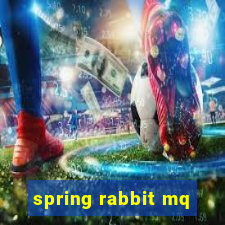 spring rabbit mq