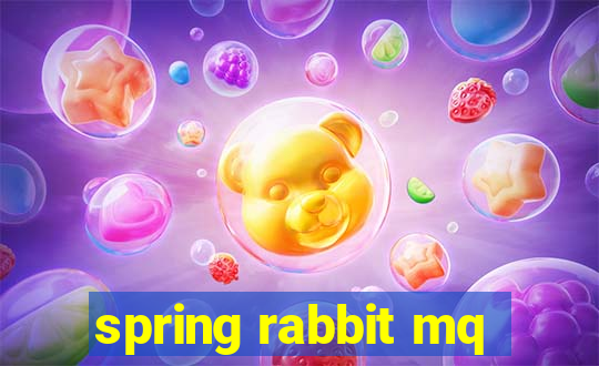 spring rabbit mq