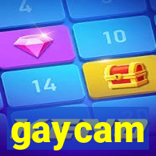 gaycam