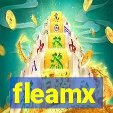 fleamx