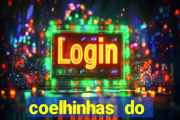 coelhinhas do brasil recife