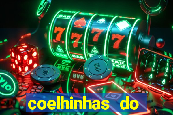 coelhinhas do brasil recife