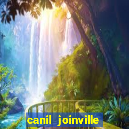 canil joinville vila nova