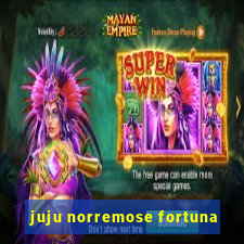 juju norremose fortuna