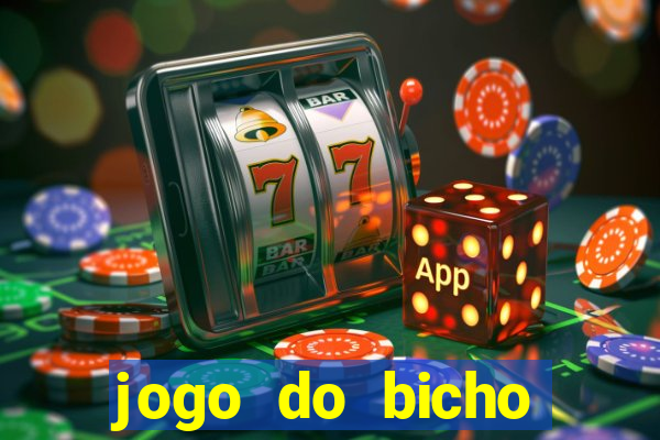 jogo do bicho crash bingo