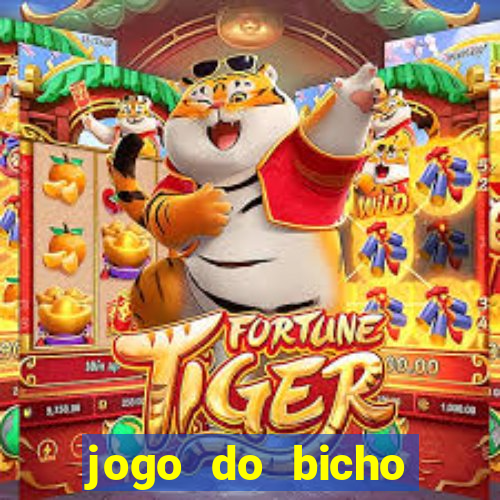 jogo do bicho crash bingo