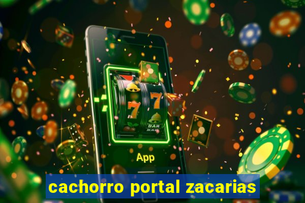 cachorro portal zacarias