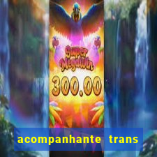 acompanhante trans em santos