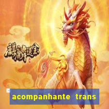 acompanhante trans em santos