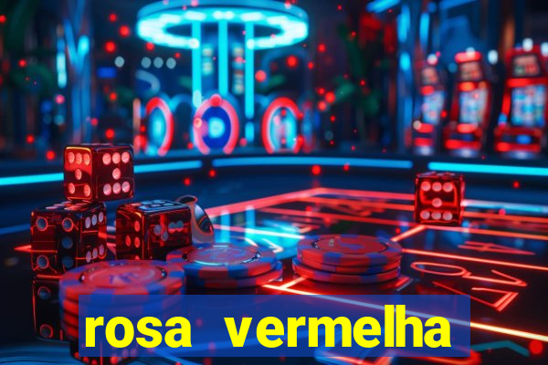 rosa vermelha (letra e cifra)