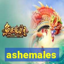 ashemales