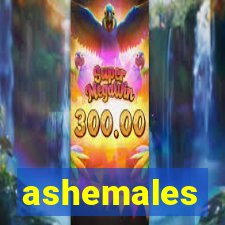 ashemales