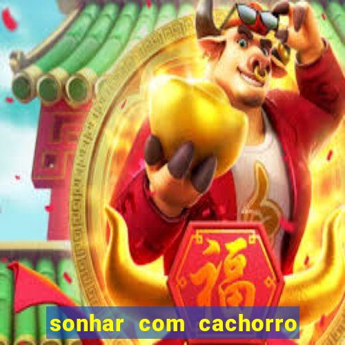 sonhar com cachorro cruzando jogo do bicho