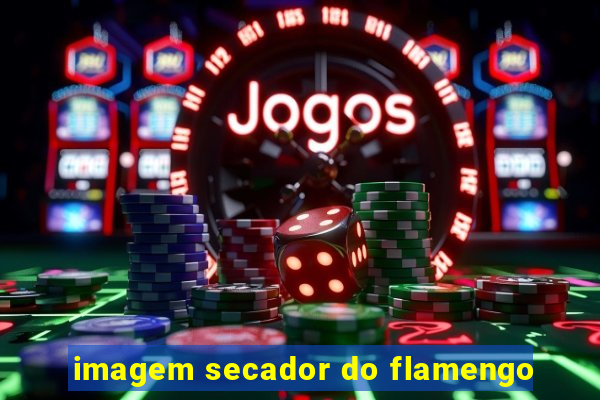 imagem secador do flamengo