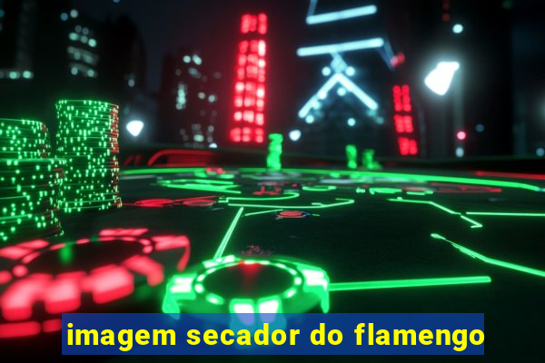 imagem secador do flamengo