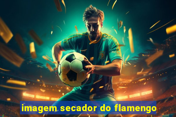 imagem secador do flamengo