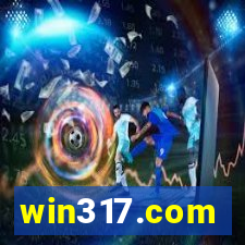 win317.com