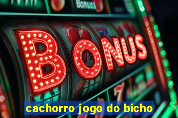 cachorro jogo do bicho