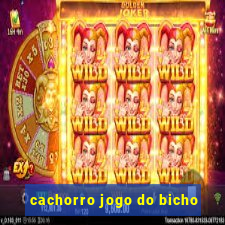 cachorro jogo do bicho