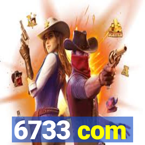 6733 com