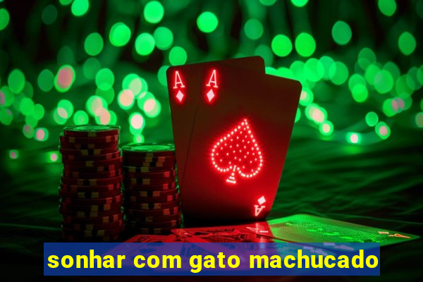 sonhar com gato machucado