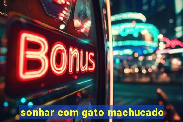 sonhar com gato machucado