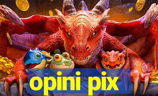 opini pix