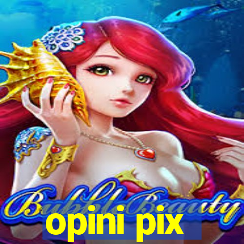 opini pix