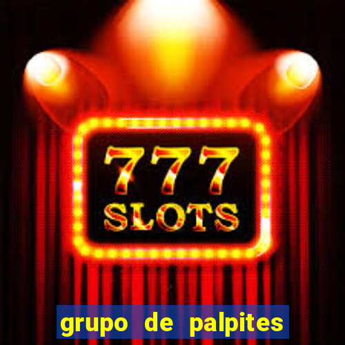 grupo de palpites de futebol whatsapp