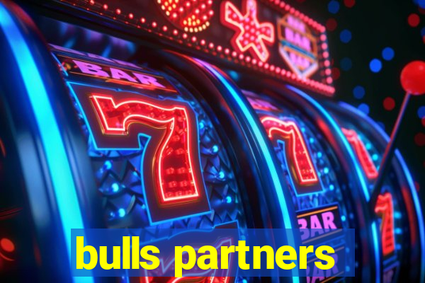 bulls partners