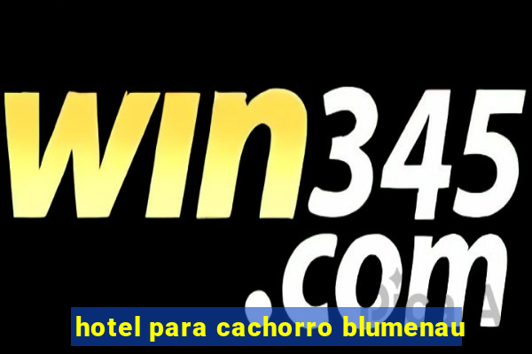 hotel para cachorro blumenau