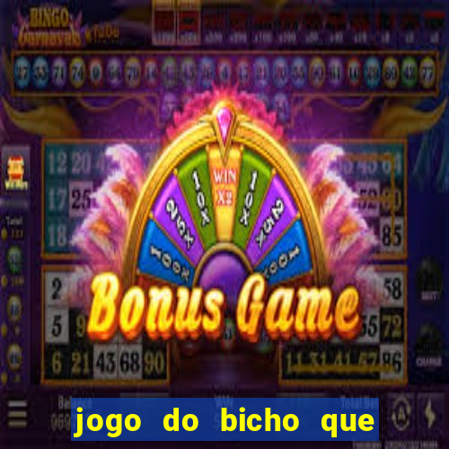 jogo do bicho que paga no pix