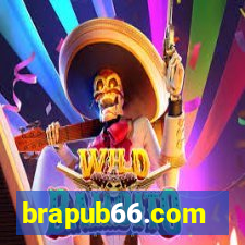 brapub66.com