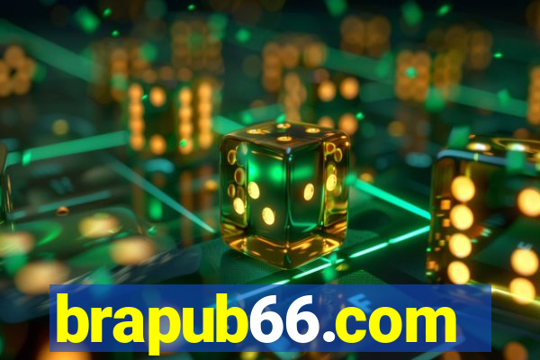 brapub66.com