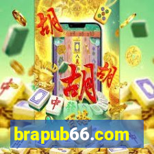 brapub66.com