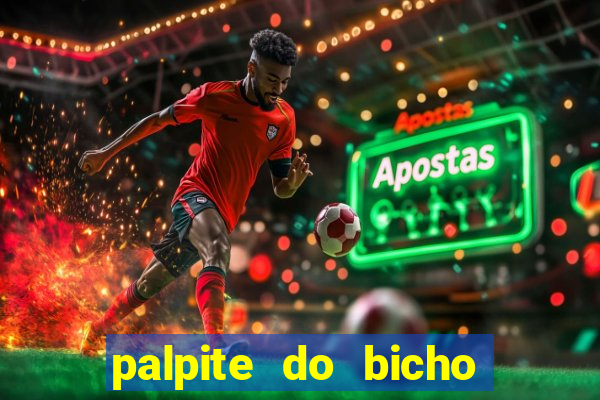 palpite do bicho deu no poste