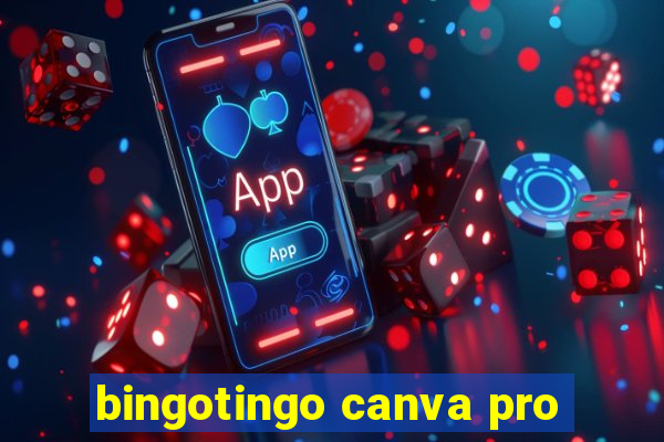 bingotingo canva pro