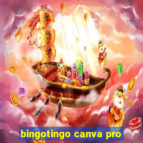 bingotingo canva pro