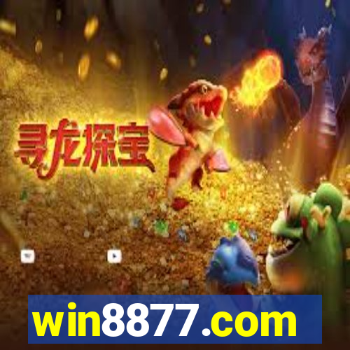 win8877.com