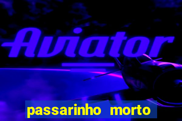 passarinho morto significado espiritual