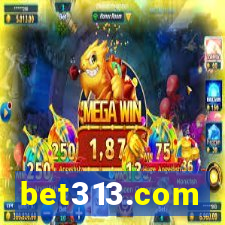 bet313.com