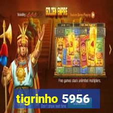 tigrinho 5956